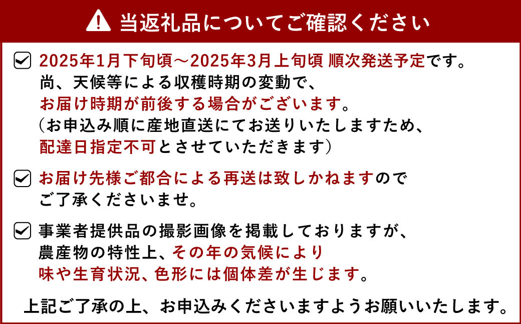 【先行予約】宇城市産 さがほのか 約2kg（約250g×8パック）【2025年1月下旬から3月上旬発送】いちご 苺