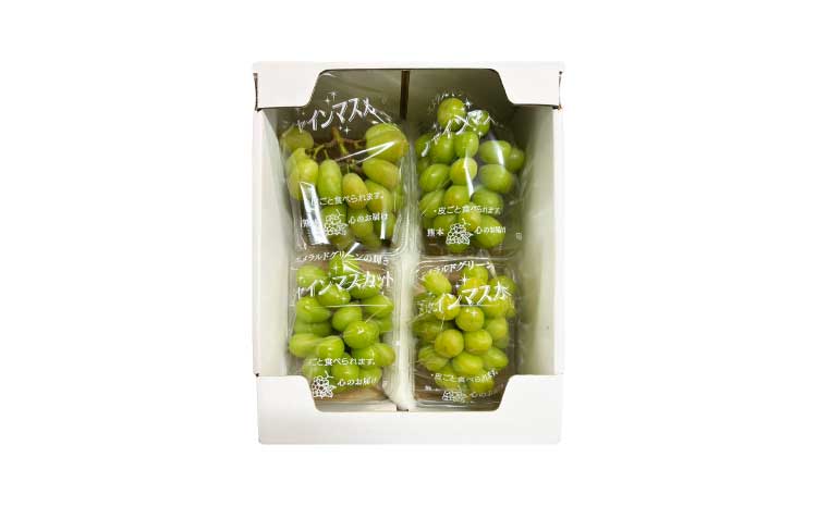 ã·ã£ã€ã³ãã¹ã«ãã 1.2kg (300gÃ4ããã¯) ã2026幎7æäžæ¬ïœ8æäžæ¬é é æ¬¡çºéäºå®ããã«ãŒã æç© ãã ãã® ã¶ã©ã ãã㊠è¡è åœç£ é«å質 é«çŽ çã éŠã ãè€çŸ èŽ
æ²¢ ãã¶ãŒã å°ïšææš¹å