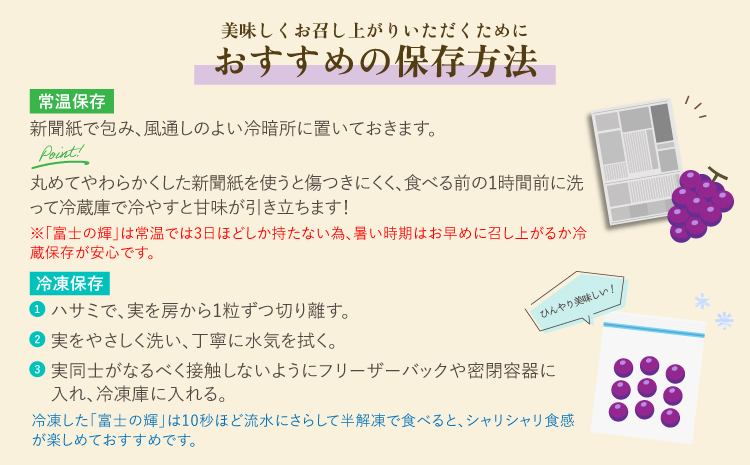 先行予約 黒いシャインマスカット 富士の輝 2房（約500g×2）計約1kg【2026年8月上旬から8月下旬発送予定】 清水果樹園 シャインマスカット マスカット ブドウ ぶどう 熊本県 宇城市