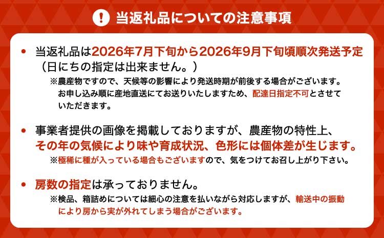 【先行予約】 シャインマスカット 巨峰 シャイン マスカット きょほう ぶどう 葡萄 恋するシャインマスカット＆巨峰セット 2房 合計約900g 種無し 種なし たねなし ギフト セット 詰合せ 宇城市産 御舩果樹園【2026年7月下旬〜9月下旬頃順次発送予定】