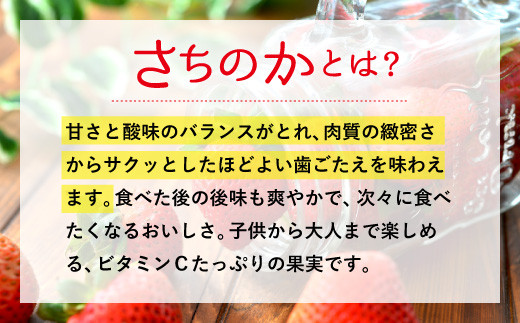 【4月発送】宇城市産いちご「さちのか」約250g×4パック【わたなべいちご園】