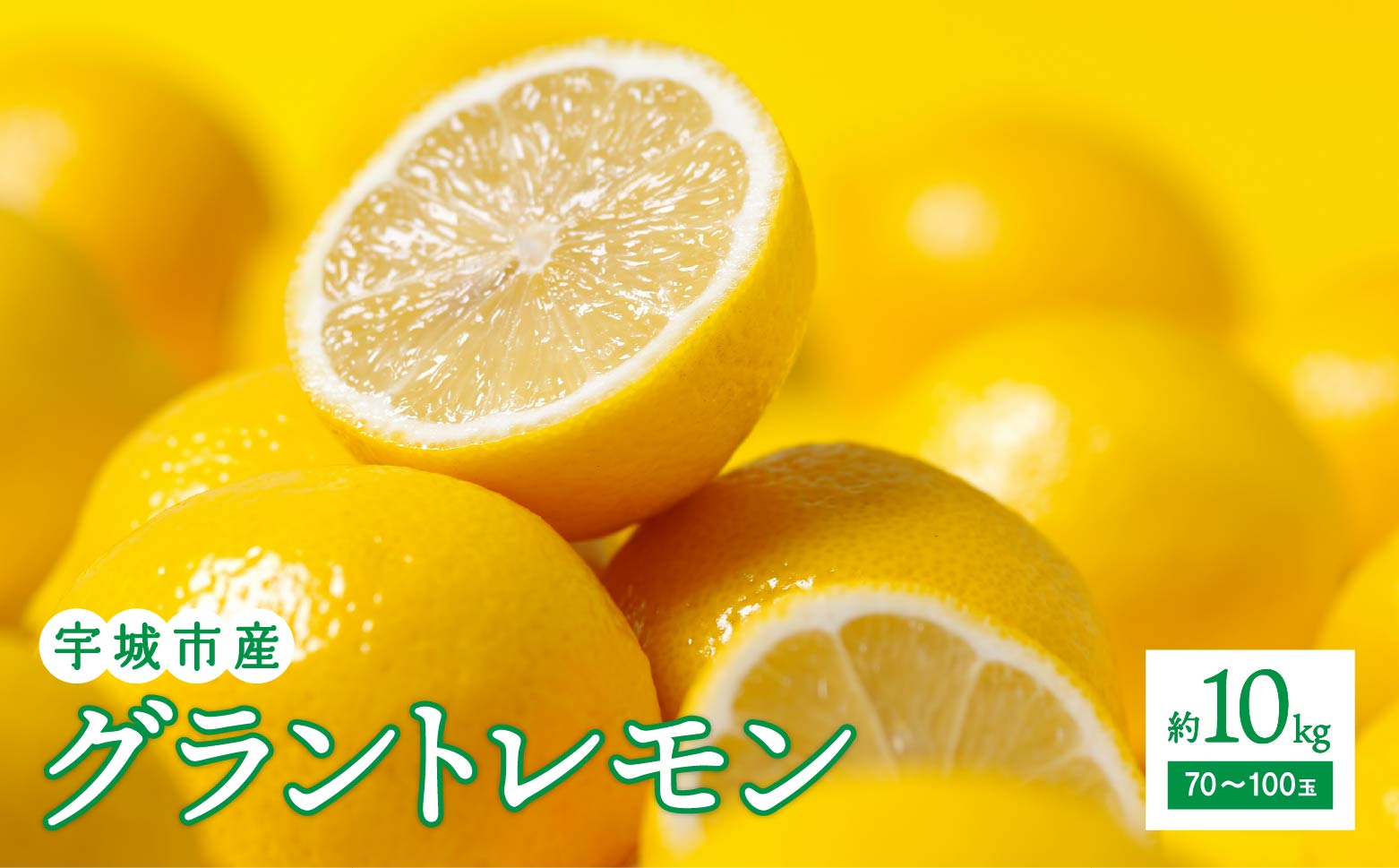 【2025年11月上旬〜2026年1月中旬頃発送予定】グラントレモン 約10kg