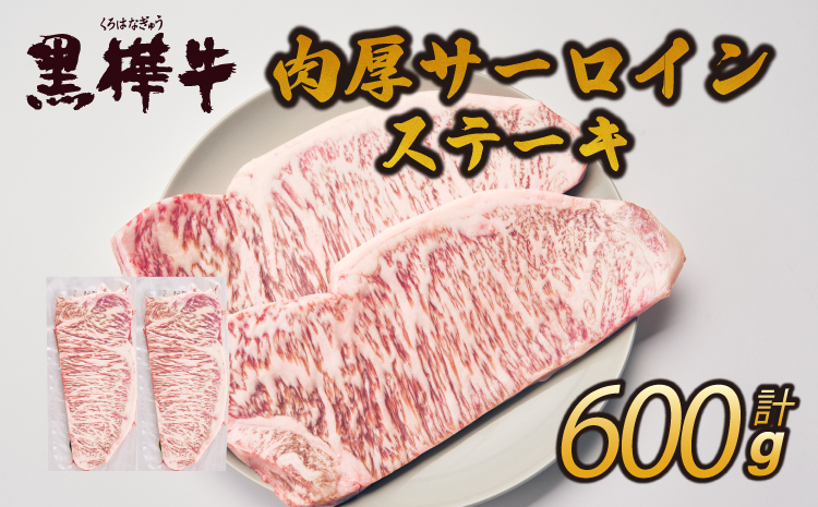 ä¹å·ç£é»æ¯åç ææ¬æ¬åº 黿šºç A4ãA5ççŽ èåãµãŒãã€ã³ã¹ããŒã 300gÃ2 èš600g