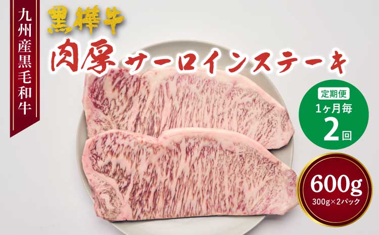 【定期便 1ヶ月毎2回】 九州産黒毛和牛 黒樺牛 肉厚サーロインステーキ 計600g (300g×2回)