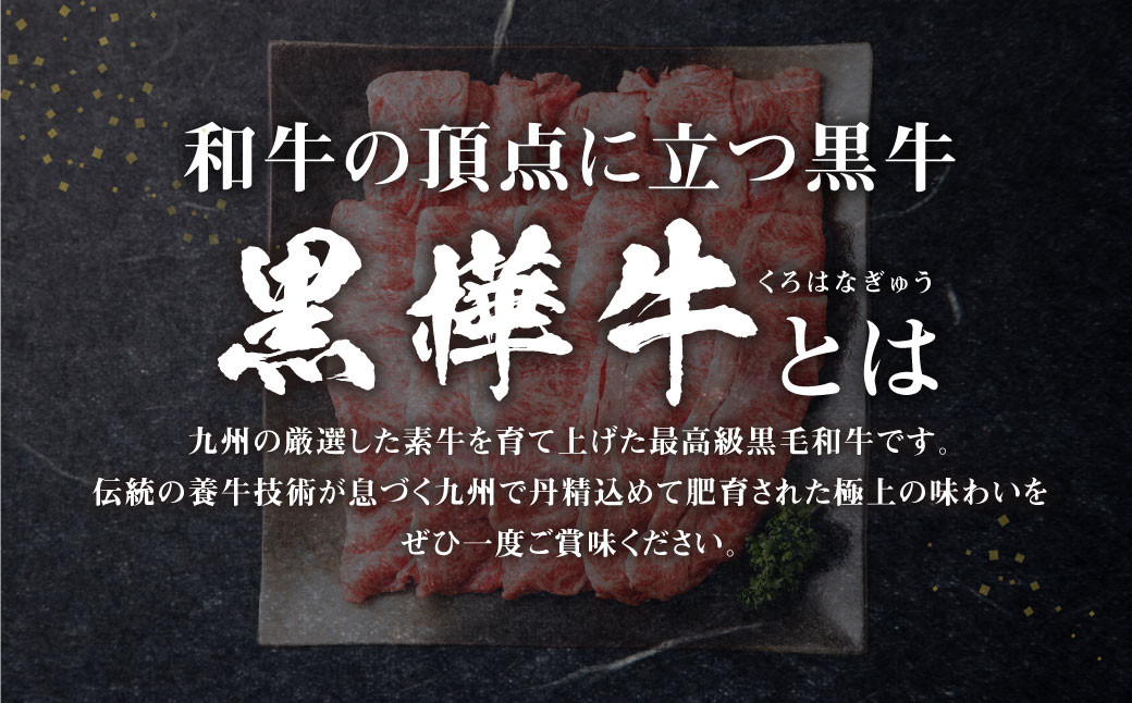 九州産黒毛和牛 杉本本店 黒樺牛 A4〜A5等級 肩ローススライス 350g×2 計700g