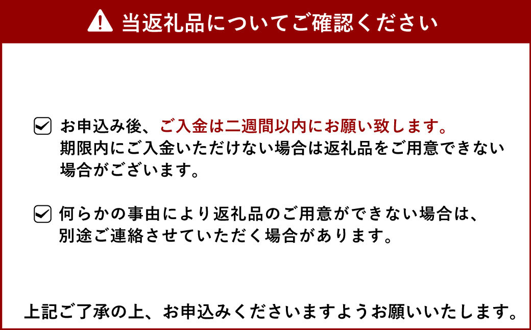 宇城市産 種無し ピオーネ 約1.2kg（3～4房）株式会社津志田【7月上旬～7月下旬発送予定】