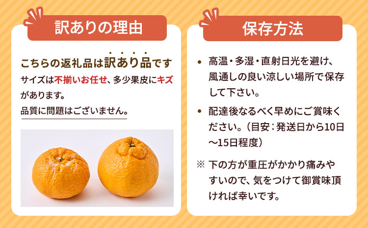 å
è¡äºçŽ èš³ãã äžç¥ç« æããäžç¥ç« éžã¹ã容é çŽ10kg ã2026幎4æäžæ¬ãã2026幎6æäžæ¬çºéäºå®ã åŸ¡è©ææš¹å ãããã äžæã ããã¬ã ææ© å®ååž çæ¬çç£