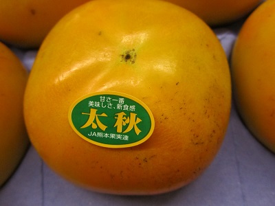 先行予約 太秋柿 合計約2kg（5〜6玉）【2026年10月上旬〜11月中旬頃発送予定】サンサンうきっ子宇城彩館