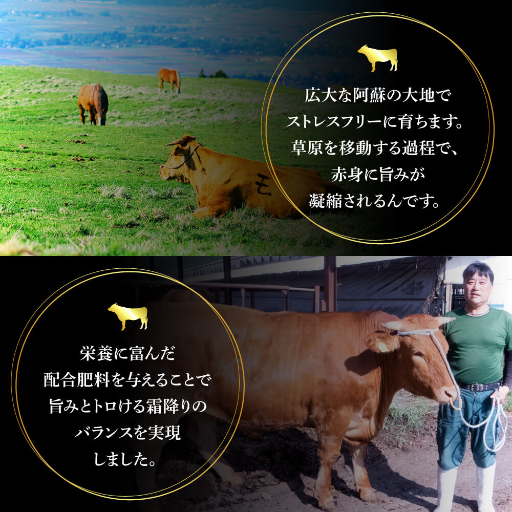 熊本県産 あか牛 スライス 計1kg（500g×2パック）国産 和牛 牛肉