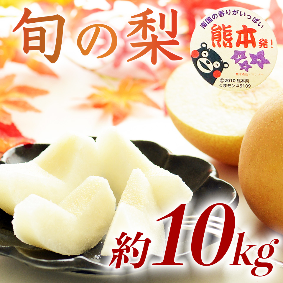 先行予約 旬の梨 品種おまかせ 約10kg（12〜36玉）【2026年8月上旬〜2026年10月中旬配送予定】梨 なし ナシ 幸水 豊水 秋月 新高 新興 秋麗 甘太 凛果 にっこり 愛宕 果物 フルーツ くだもの おまかせ 国産 熊本県 日本フルーツ