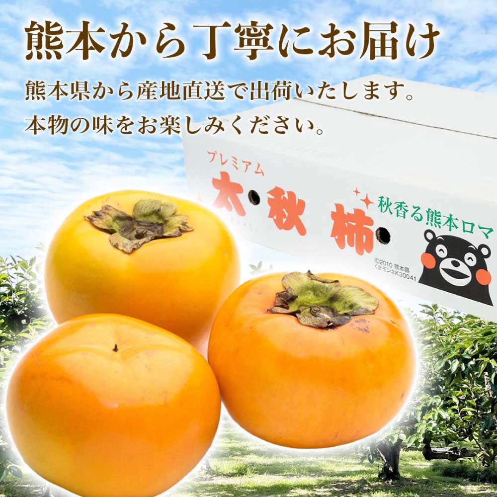 先行予約 太秋柿 約2kg (4〜8玉) 【2026年9月上旬〜10月下旬配送予定】柿 かき 果物 フルーツ くだもの 柑橘 柑橘類 フルーツ 国産 熊本 熊本県 九州 産地直送 日本フルーツ