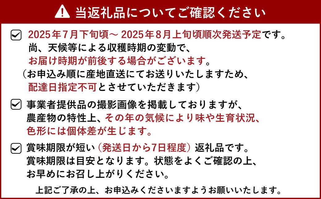 先行受付 ぶどう 種なし ピオーネ 約1.2kg（約300g×4パック）【清水果樹園】【2025年7月下旬から8月上旬発送予定】