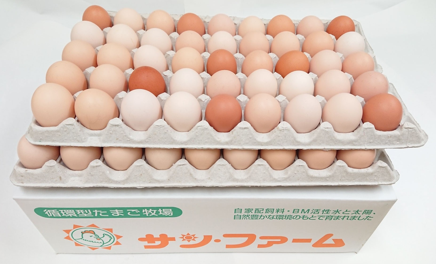 ææ¡ã ãããããŸã 90åïŒMãµã€ãºïŒåµ 10åç Žæè£åå«ã