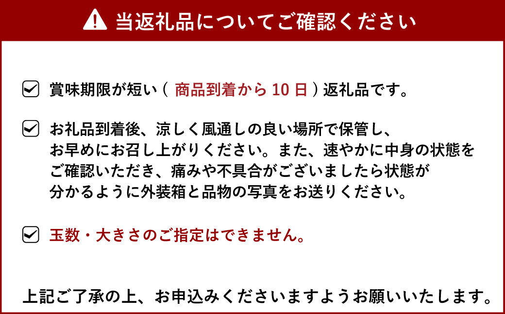 【先行受付】【2024年4月上旬〜順次発送予定】不知火 でこ姫	約2.5kg（6〜12玉）吉田レモニー 柑橘 フルーツ 果物