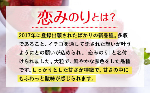 【1月発送】宇城市産いちご 「さちのか」「恋みのり」詰め合わせ 各約250g×2パック 計4パック 【わたなべいちご園】