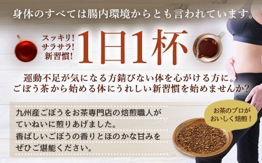 九州産ごぼう茶 30包 6袋セット