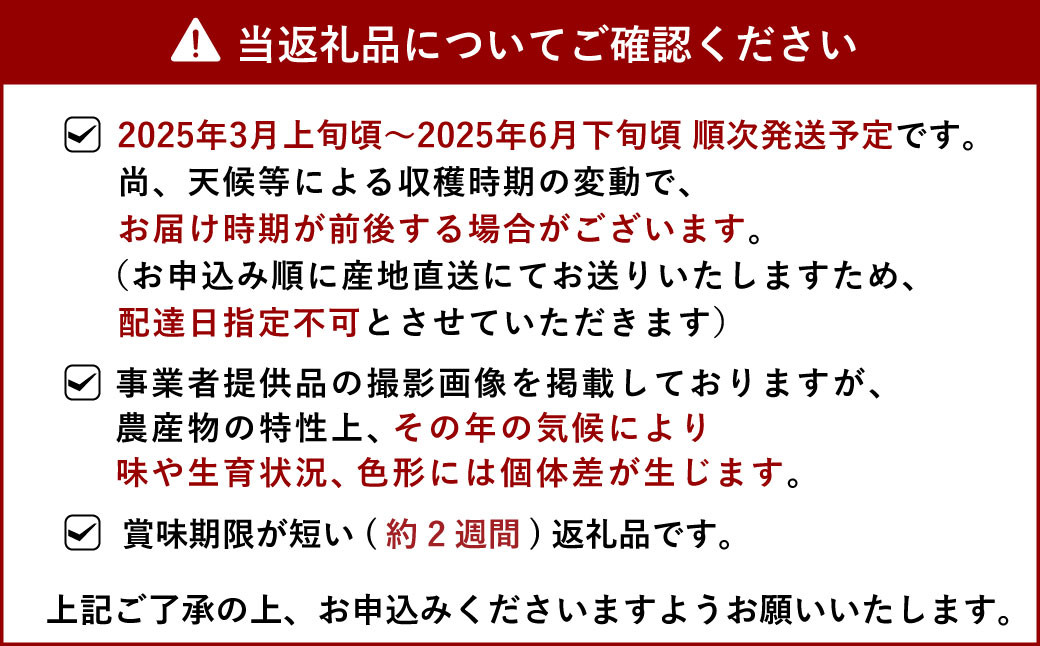 【先行予約】宇城市産 不知火 約3kg【うちやま果樹園】【2025年3月上旬から6月下旬発送予定】フルーツ 果物 くだもの 柑橘 しらぬい