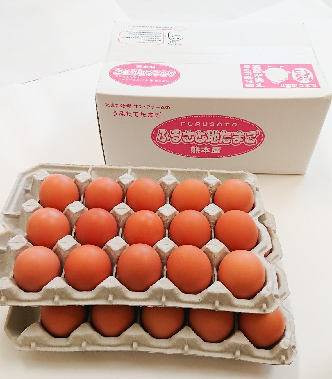 ã12ã¶æå®æäŸ¿ããµãããšå°ããŸãèš360åïŒ30åÃ12åïŒ1åããã5åç Žæè£åå«ã