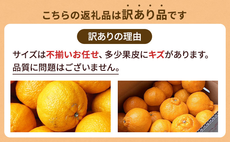 ãå
è¡äºçŽã äžç¥ç« èš³ãã çŽ8kg ããã¬ã ææ© ãã«ãŒã æç© æå® ã¿ãã èæ ãã«ã³ çæ¬ç å®ååžç£ ã2026幎2æäžæ¬ãã4æäžæ¬çºéäºå®ã