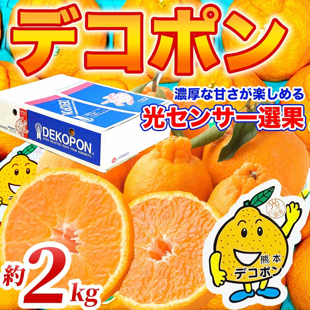 先行予約 デコポン 約2kg (5〜9玉) 【2026年12月上旬〜2027年4月上旬配送予定】でこぽん 果物 フルーツ くだもの 柑橘 柑橘類 フルーツ 国産 熊本 熊本県 九州 産地直送 日本フルーツ