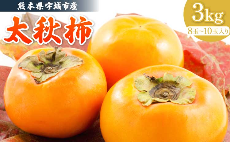 宇城市産太秋柿 約3kg フレッシュダイレクト【2026年10月中旬〜11月中旬頃順次発送予定】