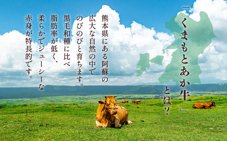 あか牛 ステーキ ・ ハンバーグセット 合計約1.15kg