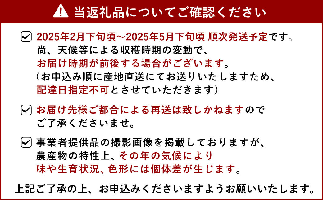 【先行予約】不知火 約3kg【のむちゃん農園】【2025年2月下旬から5月下旬発送予定】みかん 不知火 柑橘 果物 フルーツ 熊本県 