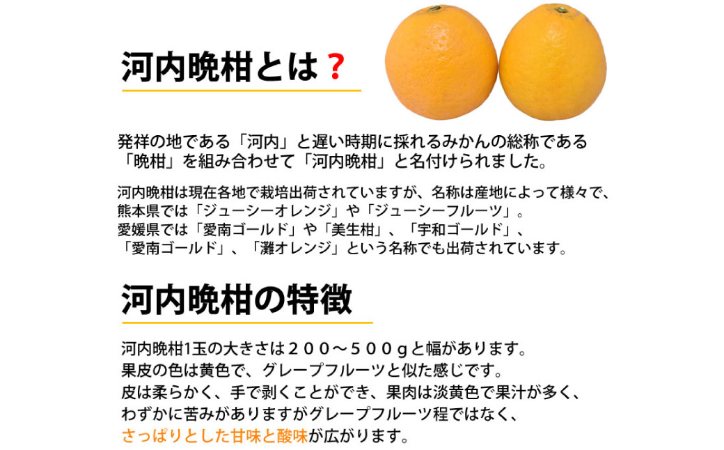 訳あり 河内晩柑 4kg【2025年3月下旬から2025年7月下旬発送予定】晩柑 ジューシーオレンジ 果物 フルーツ 規格外 不揃い