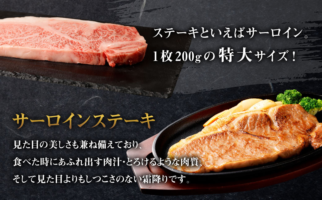 【3回定期便】九州産黒毛和牛 杉本本店 黒樺牛 A4~A5等級 サーロインステーキ定期便 400g×3回