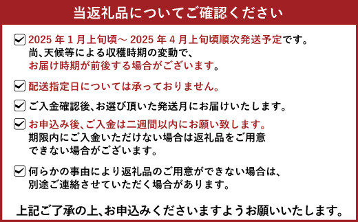 【3月発送】宇城市産いちご「さちのか」約250g×4パック【わたなべいちご園】