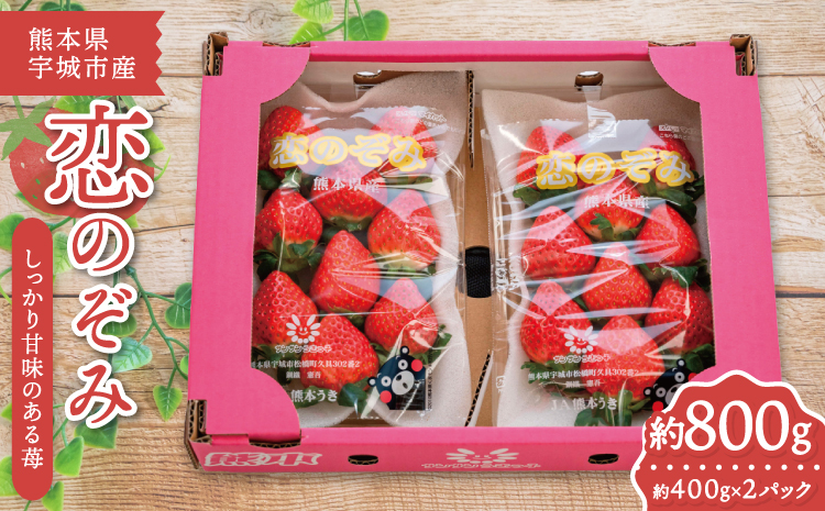 ã2025幎12æäžæ¬ã2026幎3æäžæ¬é çºéäºå®ããã¡ã æã®ãã¿ çŽ400gÃ2ãã㯠åèšçŽ800g