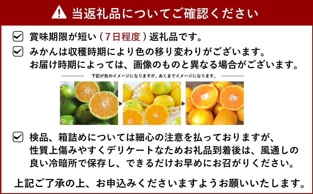 【10月下旬〜順次発送予定】宇城市産 温州みかん 計12kg（5kgケース+7kgケース）