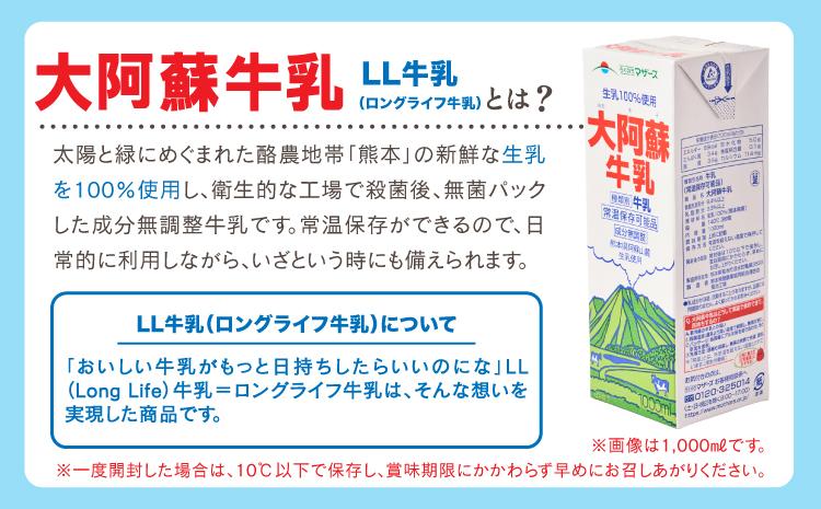 【1ヶ月毎6回定期便】 牛乳 大阿蘇牛乳 250ml 計144本 牛乳 定期便 常温保存 常温 らくのうマザーズ 大阿蘇牛乳 1ケース 250ml×24本 生乳100% ミルク 成分無調整牛乳