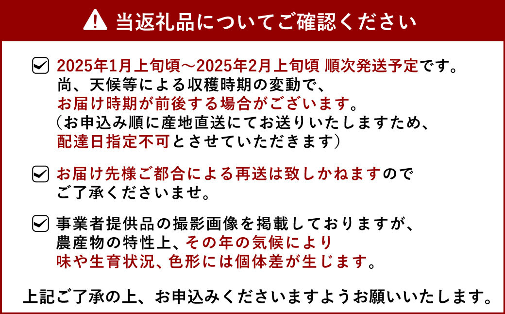 【先行受付】屋根掛けハウス栽培 山口さん家の不知火 約5kg 18玉～22玉 3L～4L【2025年1月上旬から2月上旬発送予定】柑橘 果物 フルーツ