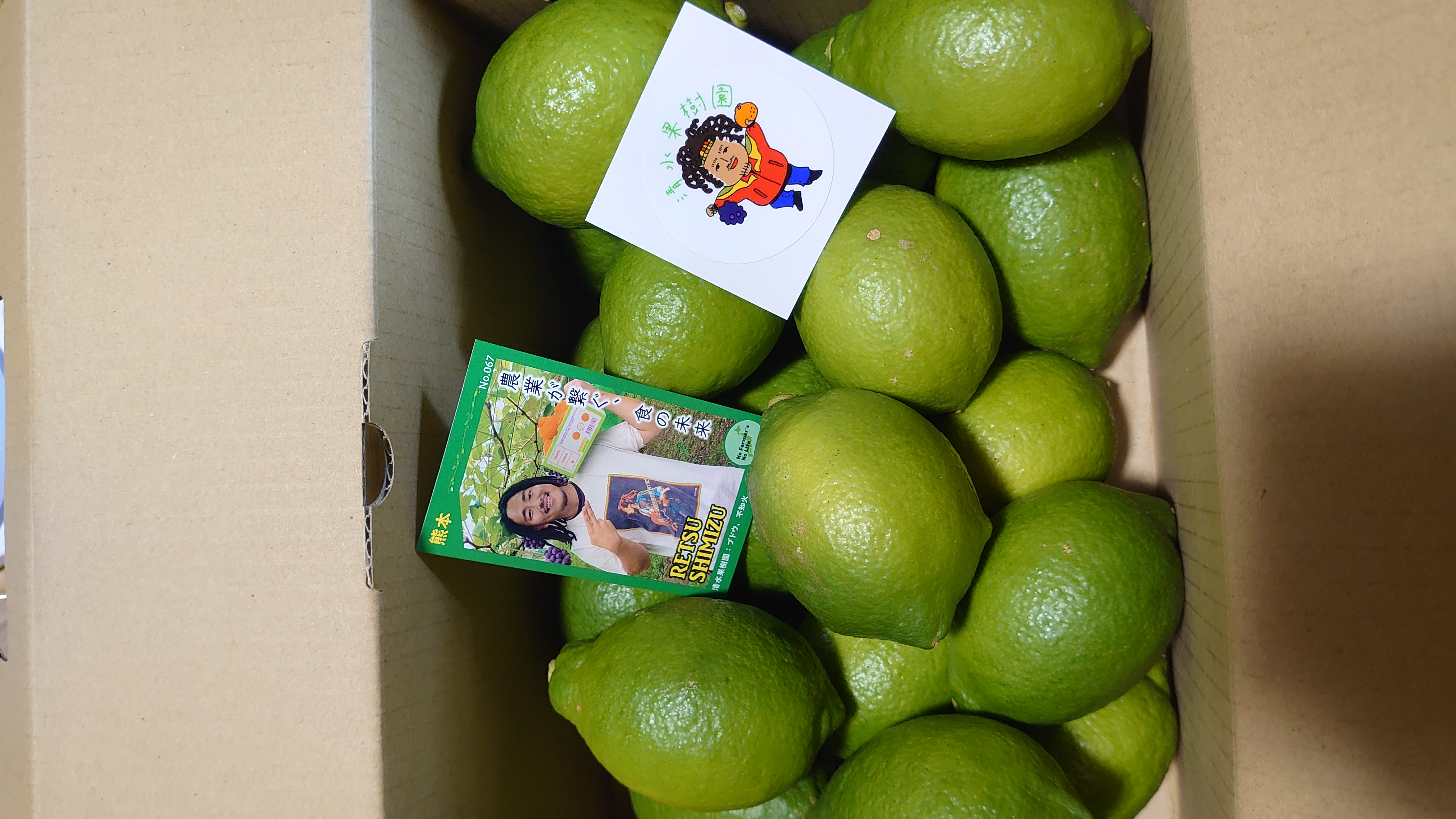  ユーレカ レモン 約2kg（20玉前後）【清水果樹園】【2026年11月上旬から11月下旬発送予定】 レモン 檸檬 国産レモン ノーワックス 防腐剤不使用 柑橘  調味料 国産 九州 熊本県 宇城市