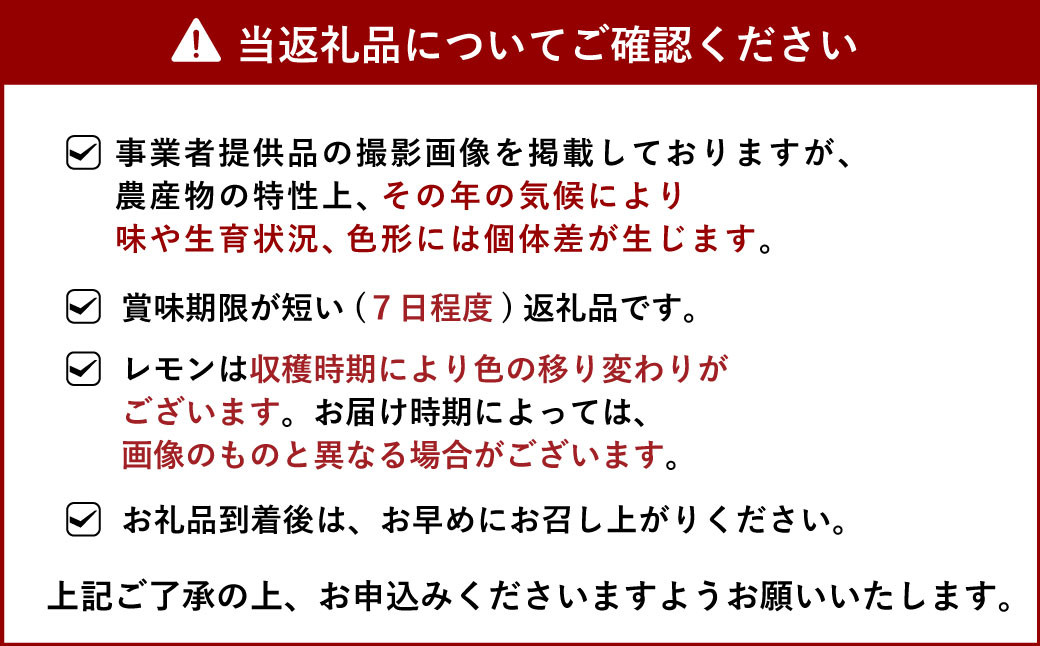 宇城市産 グラントレモン 約3kg 髙橋果樹園【2024年9月下旬から2025年2月下旬発送予定】レモン 柑橘 酸味 国産 果物 フルーツ