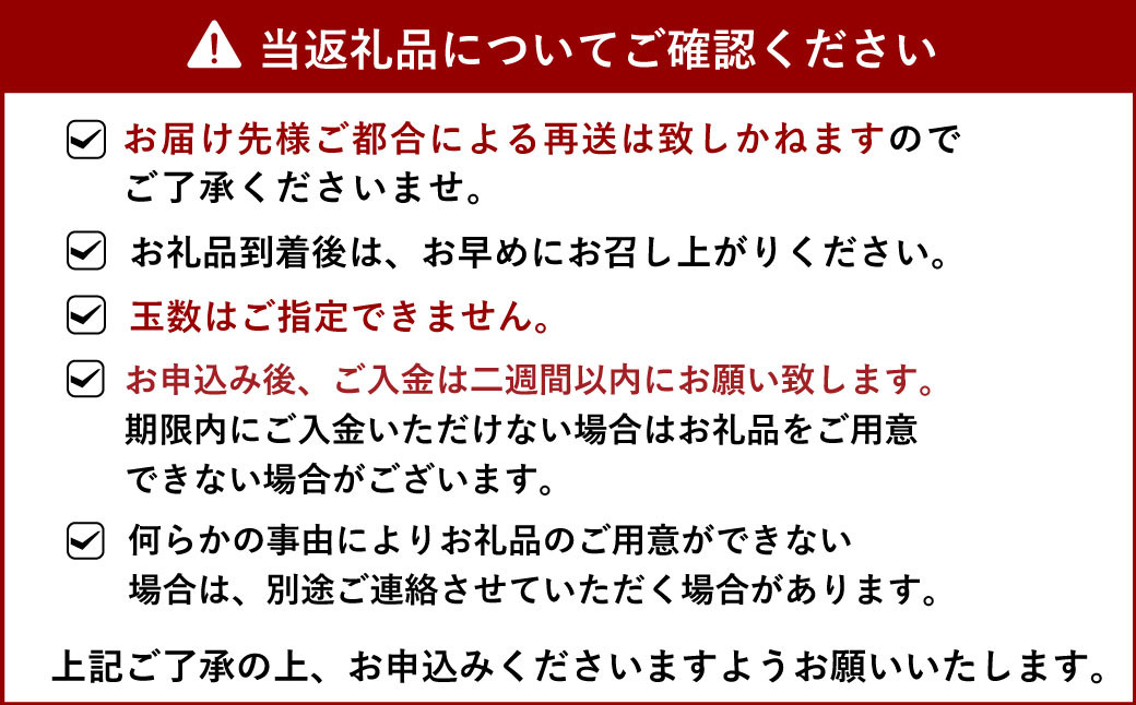 【先行予約】宇城市産 不知火 約5kg【うちやま果樹園】【2025年3月上旬から6月下旬発送予定】フルーツ 果物 くだもの 柑橘 しらぬい