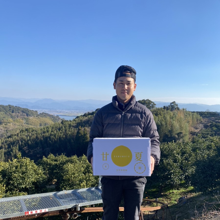 å
è¡äºçŽ çå€ çŽ10kg ã2026幎3æäžæ¬ã2026幎5æäžæ¬çºéäºå®ã çå€ã¿ãã æç© ãã ãã® ãã«ãŒã ææ© ã¿ãã èæ è°·å·ææš¹å