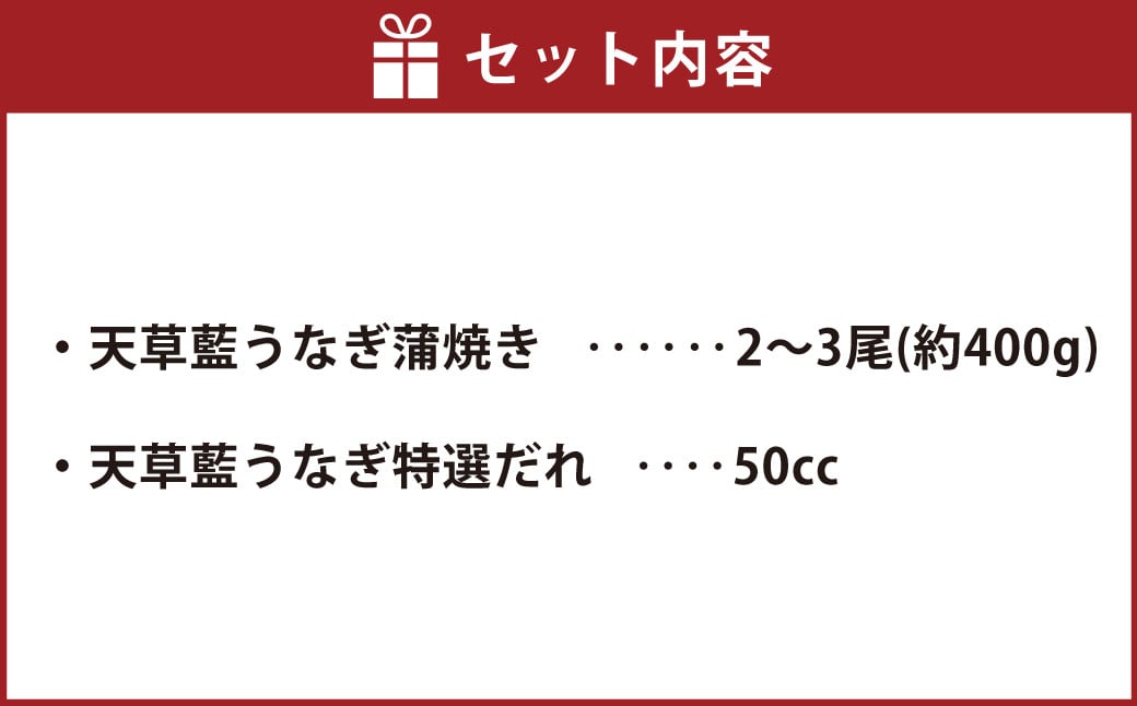 うなぎ 【ミシュラン1つ星店 採用】 国産 蒲焼き2-3尾 400g ギフト 蒲焼き 白焼き 鰻重 鰻丼 【数量限定】海水育ちの天草藍うなぎ 蒲焼き 2～3尾セット（計約400g）鰻  