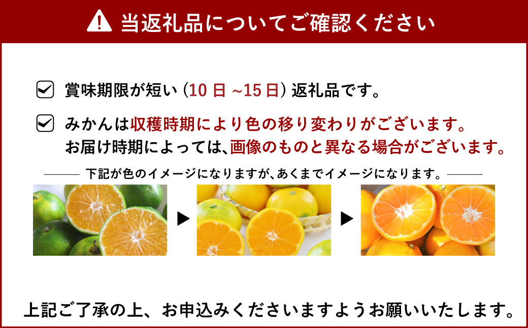 【12月上旬～順次発送予定】尾崎早生 8kg（60個前後）温州みかん ひでみかん 柑橘 果物