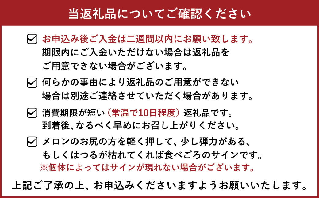 肥後グリーン メロン 2玉 約4～4.8kg 藤山農園【6月下旬から7月上旬発送予定】