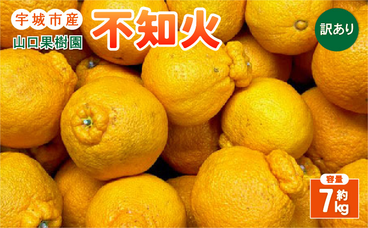 【先行予約】山口果樹園 訳あり不知火 約7kg L〜3L混合【2026年2月上旬から4月上旬発送予定】不知火 しらぬい 蜜柑 くだもの フルーツ 果物