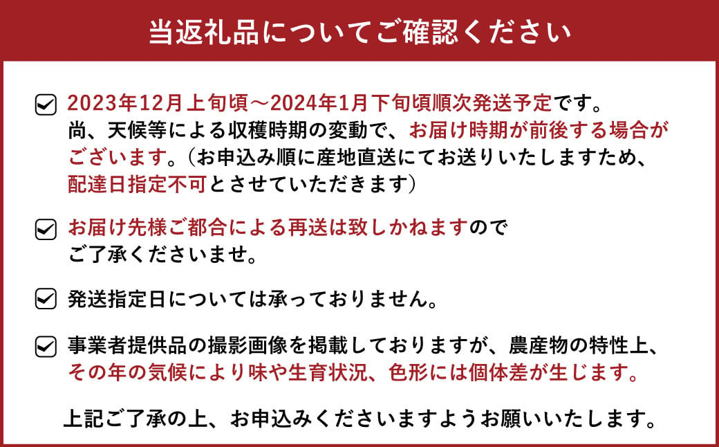 【2023年12月上旬より順次発送】 宇城市産 温室ハウス栽培 プレミアム完熟不知火 約5kg 髙橋果樹園