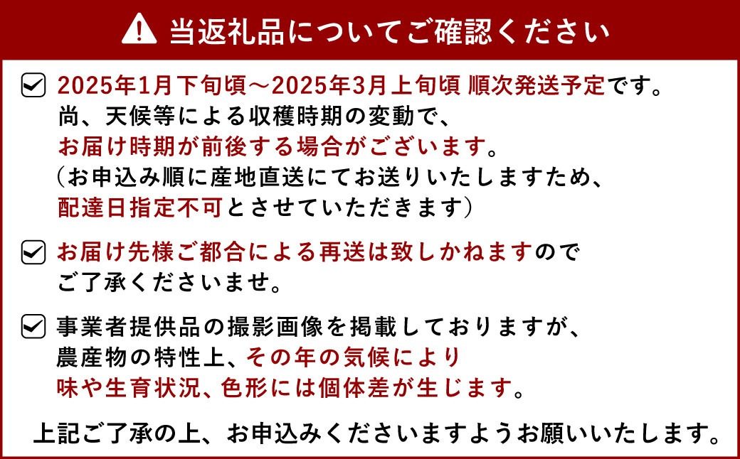 【先行予約】宇城市産 デコみかん 約10kg 不知火 粒揃い【2025年1月下旬から3月上旬発送】柑橘 フルーツ