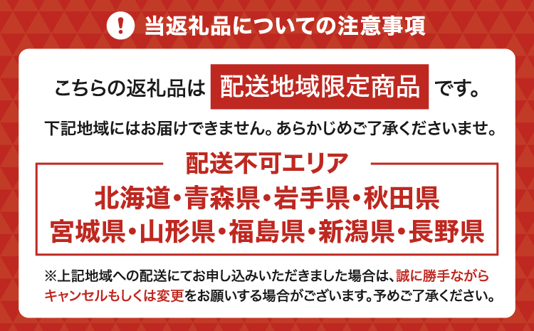 【定期便6回】ミディ胡蝶蘭の定期便（2ヶ月に1回）洋蘭 観賞用 贈答用
