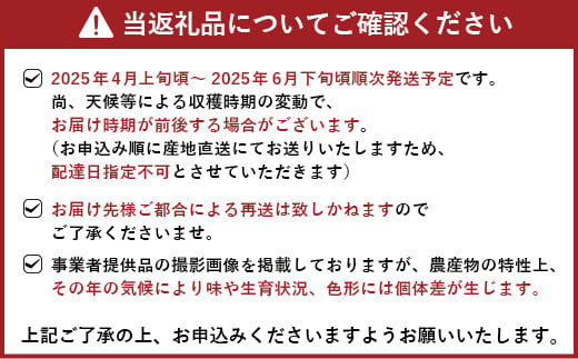 【先行予約】 恋する 不知火 約5kg 【御舩果樹園】【2025年4月上旬から2025年6月下旬発送予定】 果物 くだもの フルーツ 柑橘 しらぬい 国産