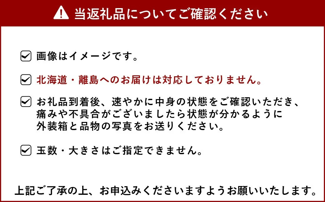 【2023年発送分 4回定期便】 宇城市産 旬の フルーツ 定期便