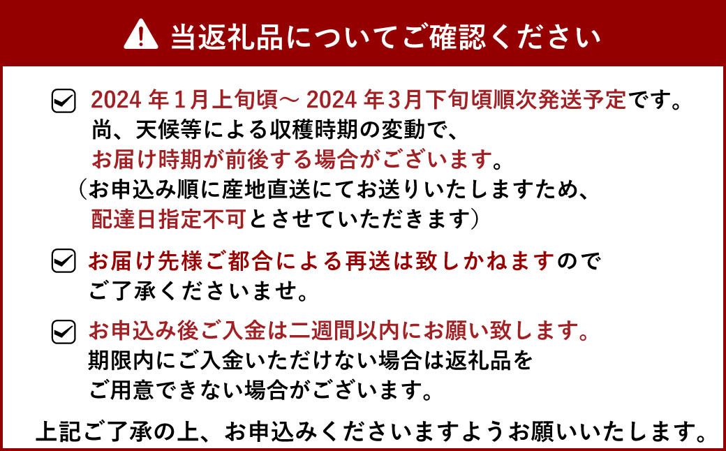 【2024年3月発送】【1月上旬～順次発送予定】宇城市産 いちご あまおとめ 約1kg(約250g×4パック) NAGATA FARM