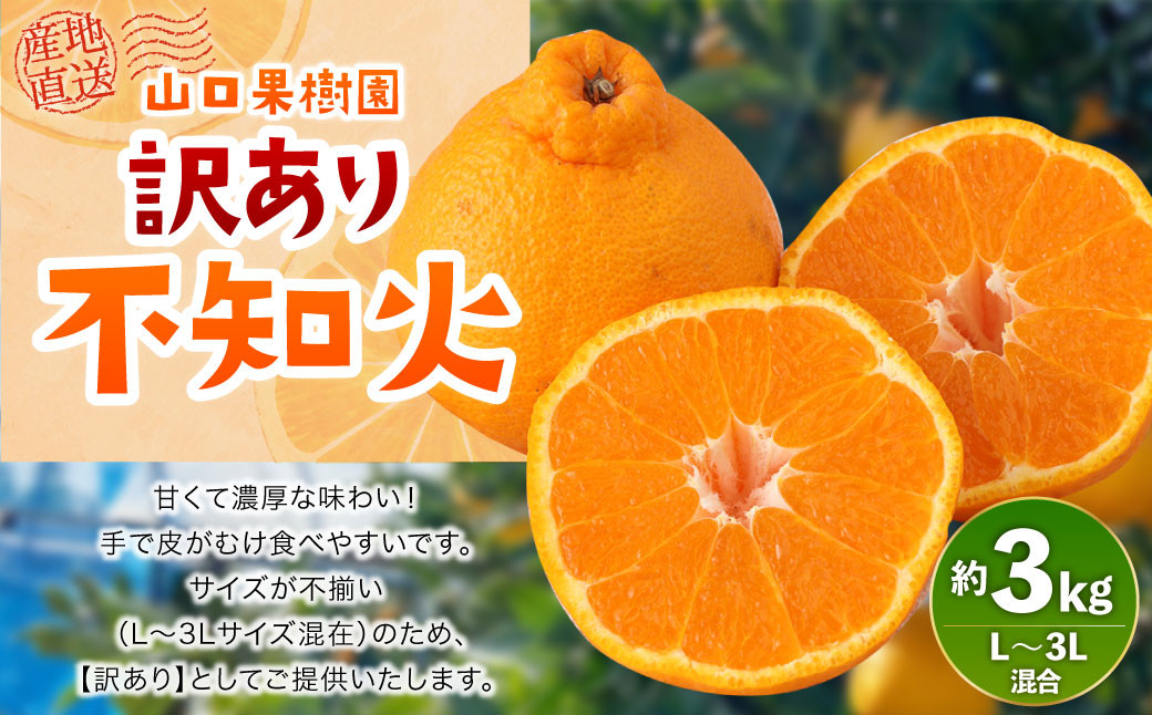 【先行受付】山口果樹園 訳あり 不知火 約3kg L～3L混合【2025年2月上旬から4月上旬発送予定】不知火 しらぬい 蜜柑 くだもの フルーツ 果物