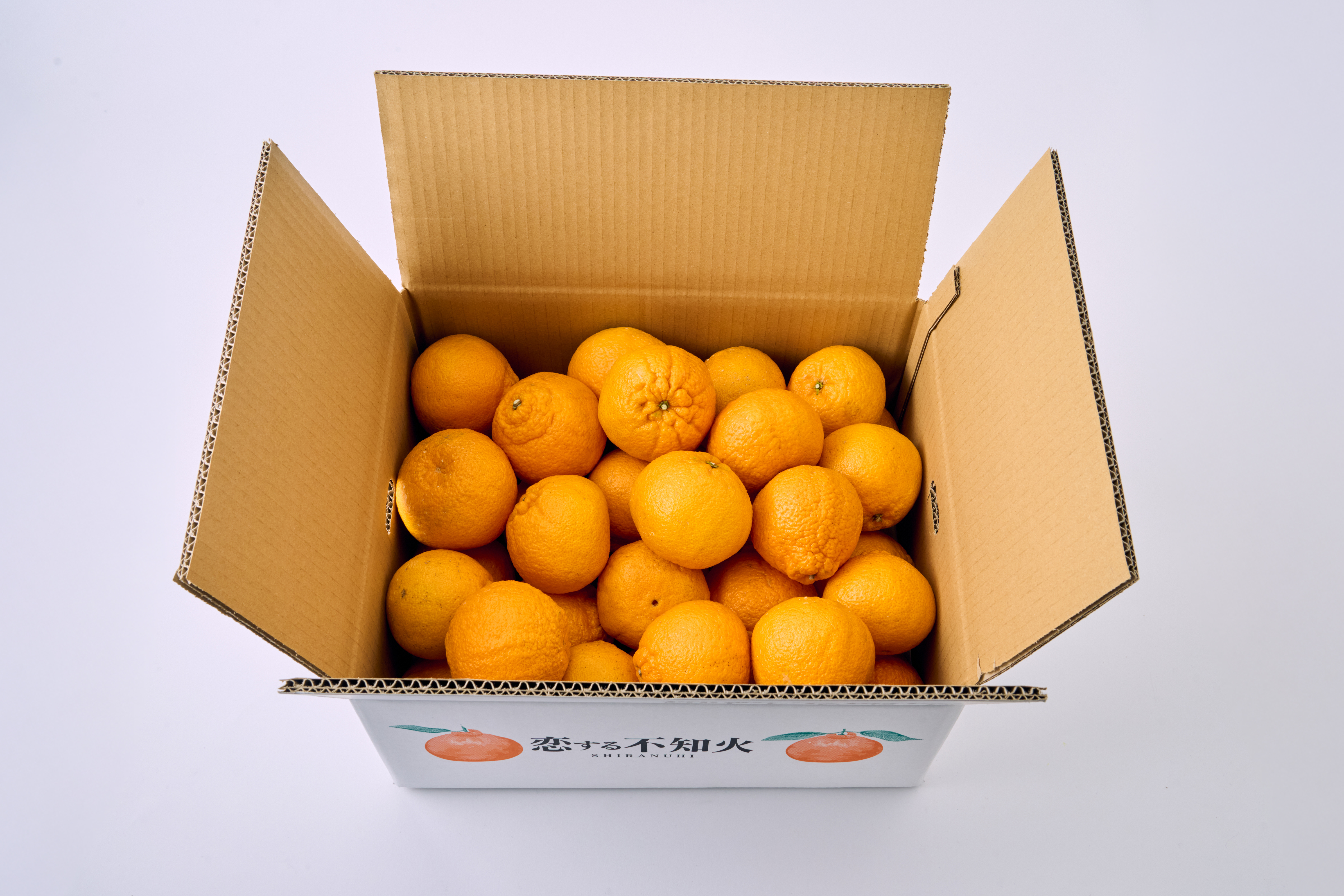 å
è¡äºçŽ èš³ãã äžç¥ç« æããäžç¥ç« éžã¹ã容é çŽ10kg ã2026幎4æäžæ¬ãã2026幎6æäžæ¬çºéäºå®ã åŸ¡è©ææš¹å ãããã äžæã ããã¬ã ææ© å®ååž çæ¬çç£